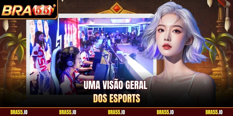 Uma visão geral dos esports